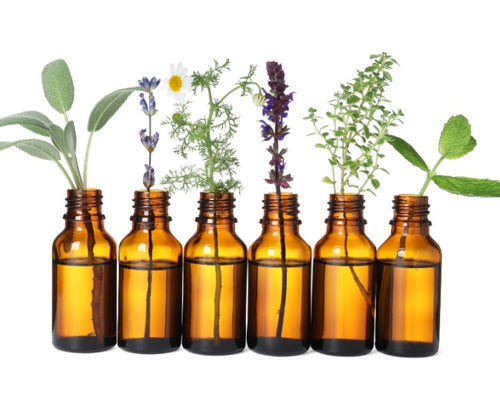 The Beauty of Plant Oils