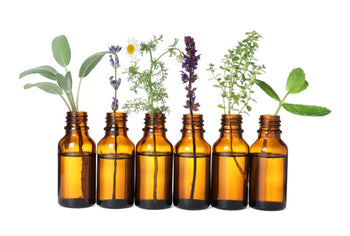 The Beauty of Plant Oils