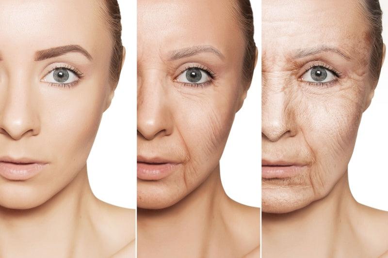 Understanding Skin Aging - Adonia Organics